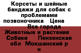 Корсеты и шейные бандажи для собак с проблемами позвоночника › Цена ­ 2 500 - Все города Животные и растения » Собаки   . Пензенская обл.,Мокшанский р-н